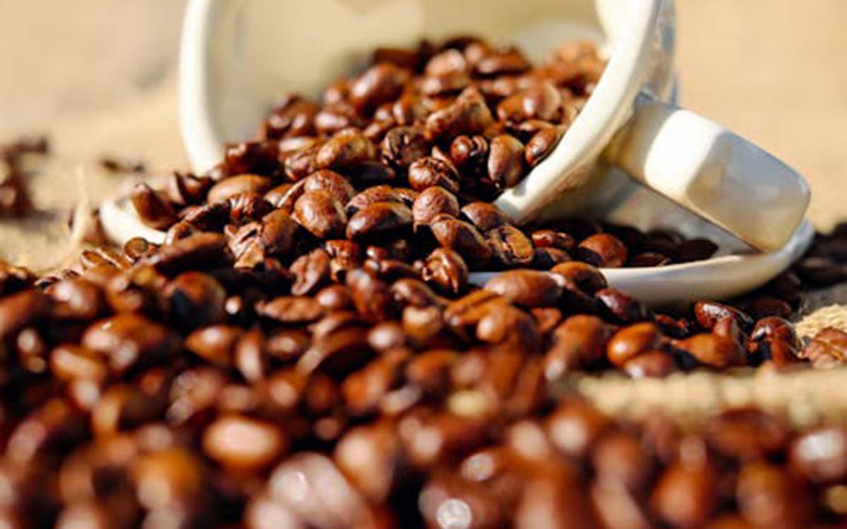 Coffee Excelsa